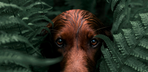 The Best Lightroom Photo & Video Editor Alternatives