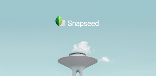 The Best Snapseed Alternatives